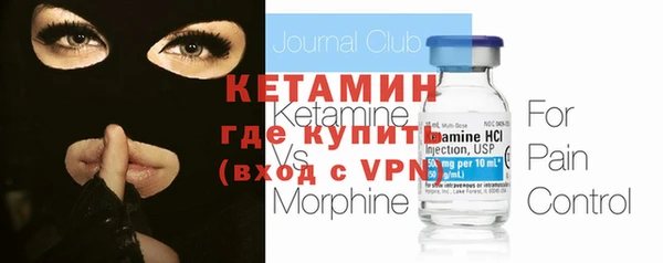 гашик Ельня