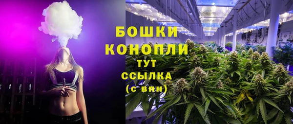 ГАЛЛЮЦИНОГЕННЫЕ ГРИБЫ Гусь-Хрустальный
